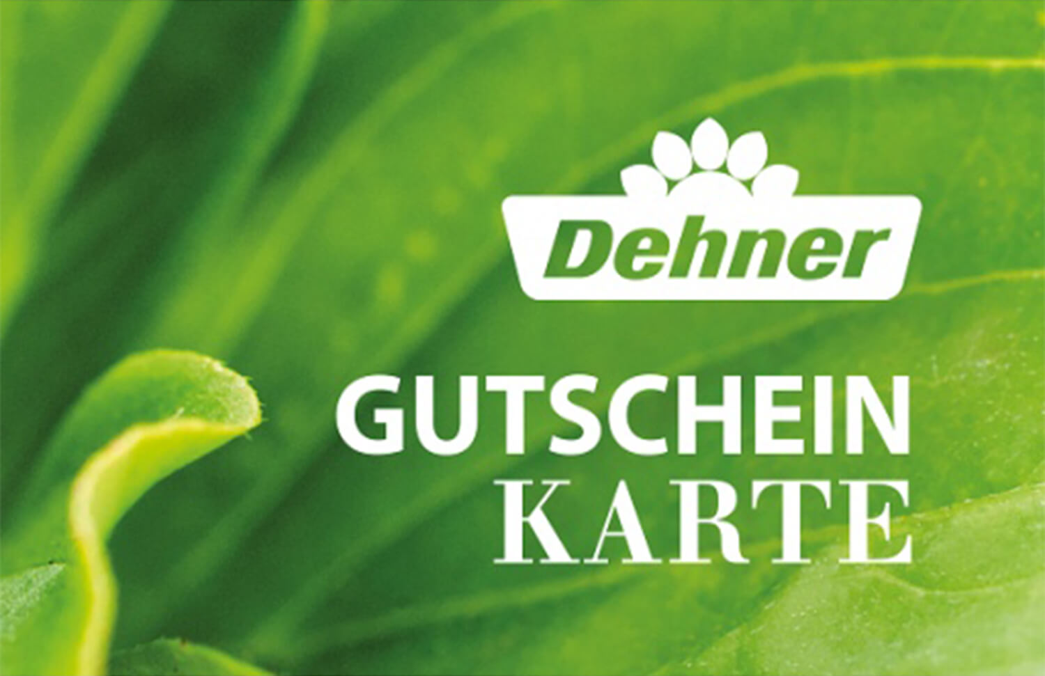 Dehner-Gutschein