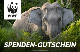 Wwf-Gutschein